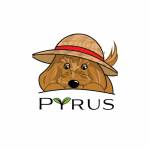 Pyrus Digital Media