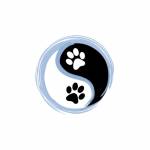 Shay Shay Veterinary Mobile