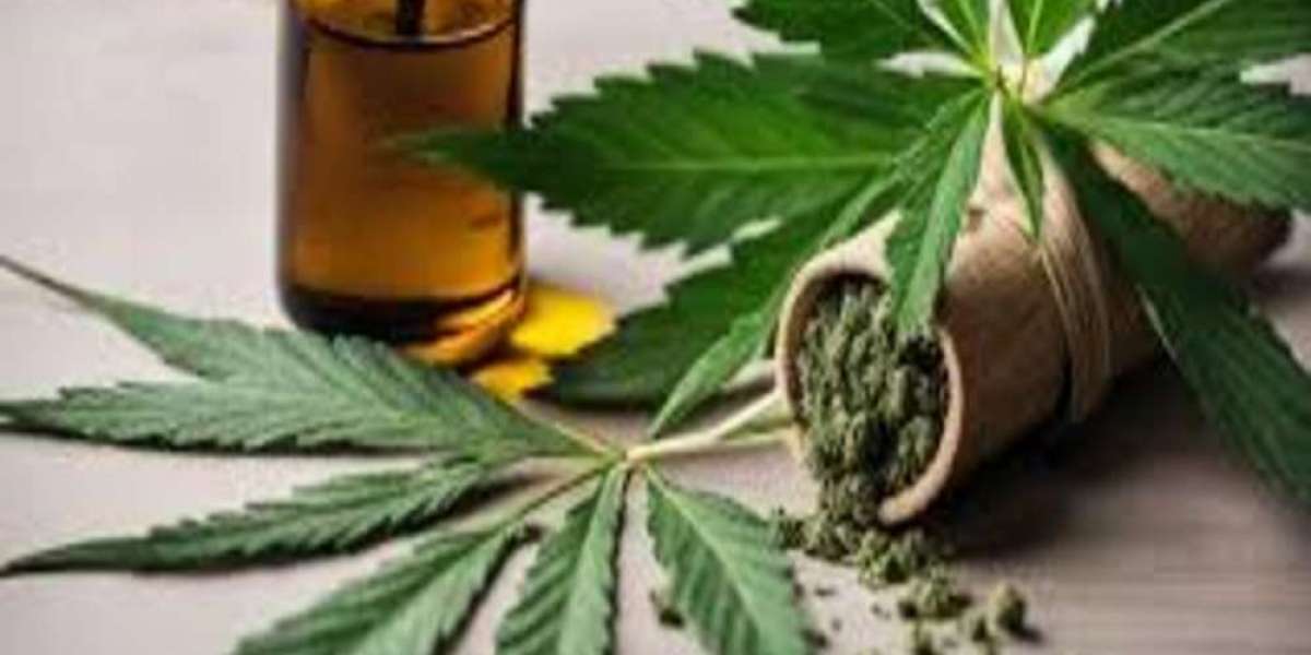 CBD Hennebont : Le guide pour profiter pleinement de ses bienfaits