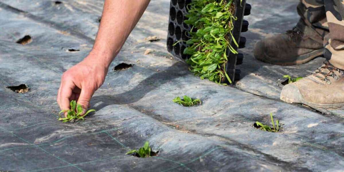 How Ground Cover Fabric Can Save You Time and Money on Landscaping