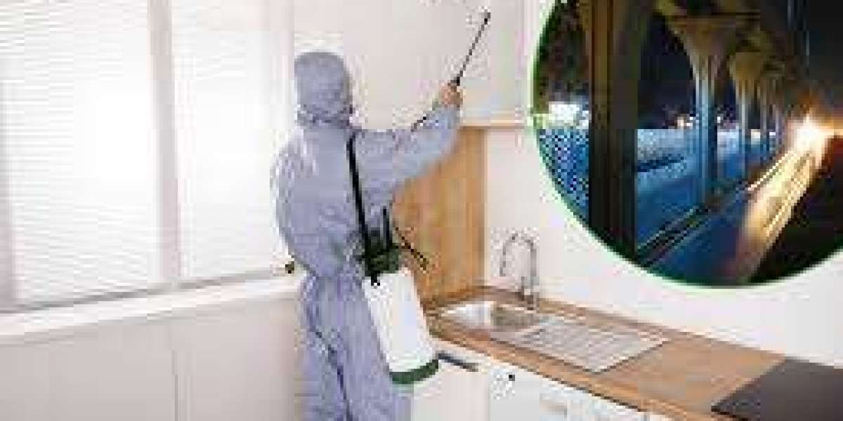 Reliable Emergency Pest Solutions and Cost Insights