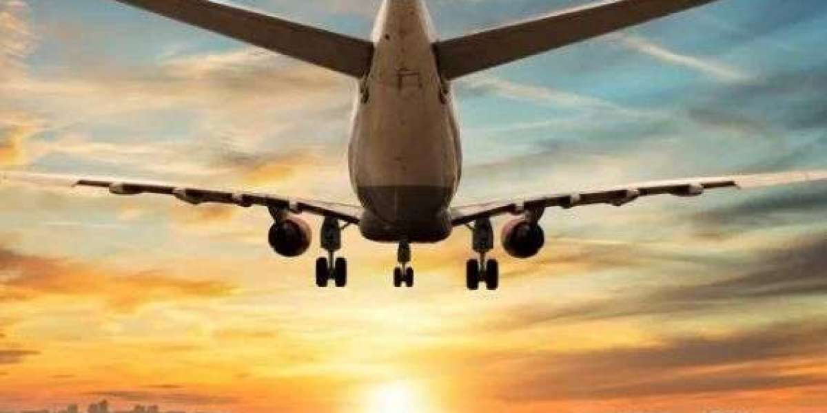 Flighta: Your Trustworthy Companion for More Thoughtful Air Travel 