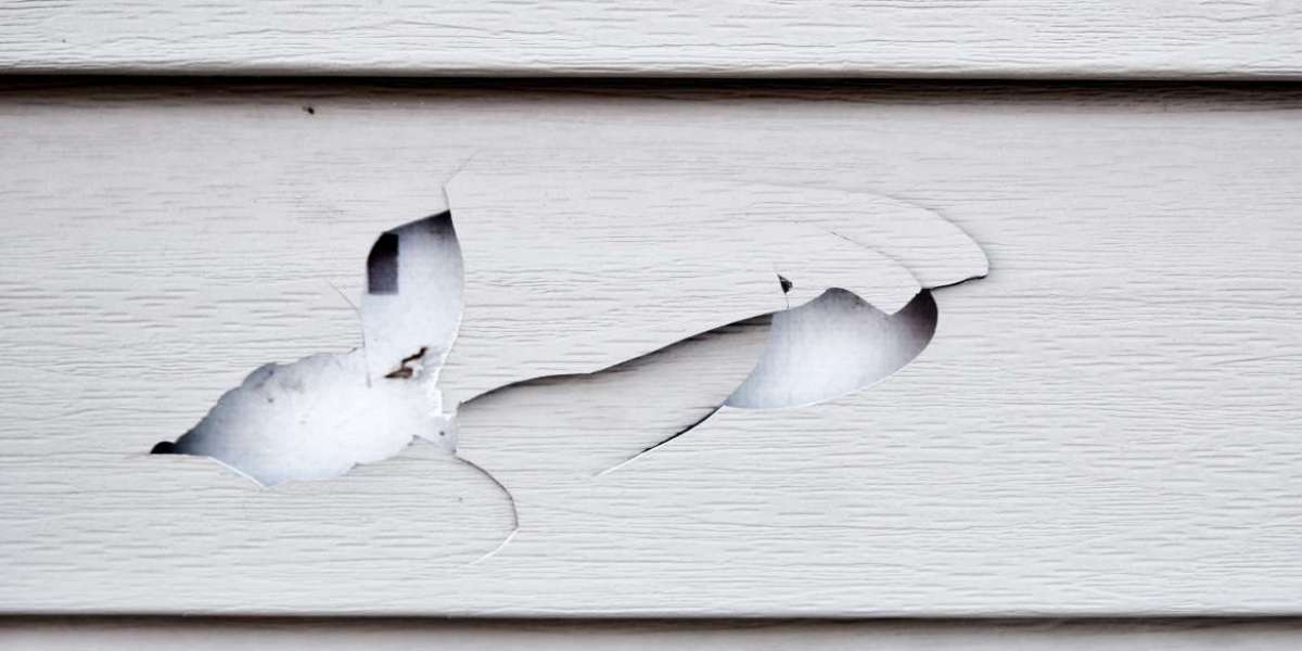 The Most Common Siding Problems Homeowners Face