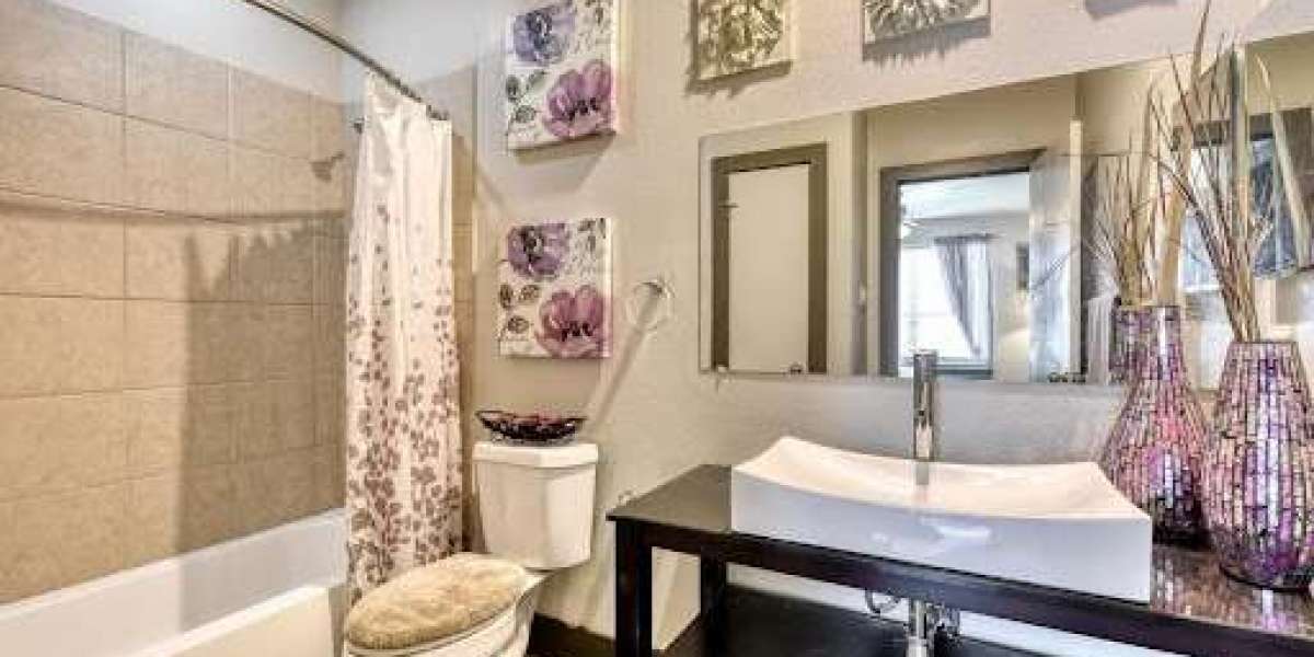 Find the Best Apartments Near Me in Leon Valley, Texas