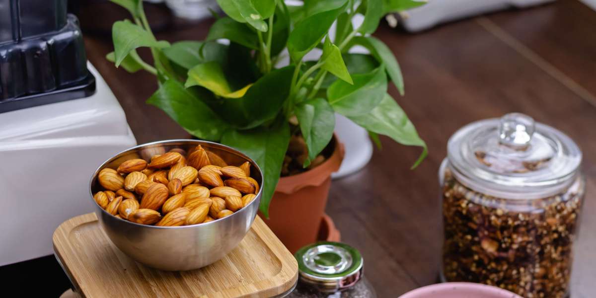 Which Region Dominates the Global Health and Wellness Snacks Market in 2025?