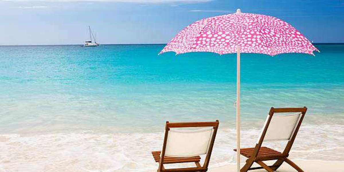 Travel Experiences Are Essential for Lifelong Learning