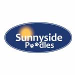 Sunnyside Poodles