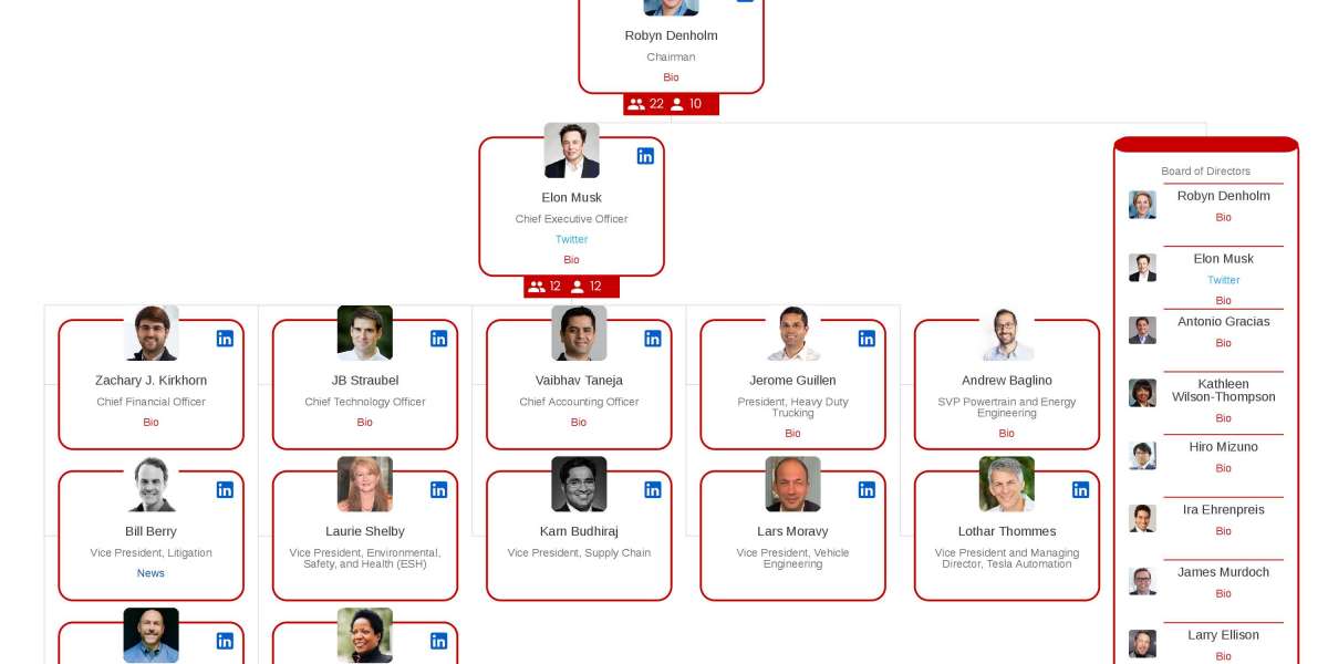 Understanding Tesla’s Organizational Structure: A Detailed Insight Through the Tesla Org Chart
