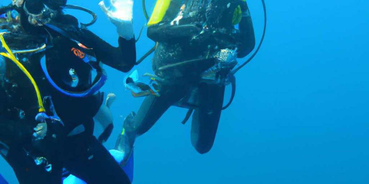 Diving Training in Nouméa: An Underwater Adventure Awaits