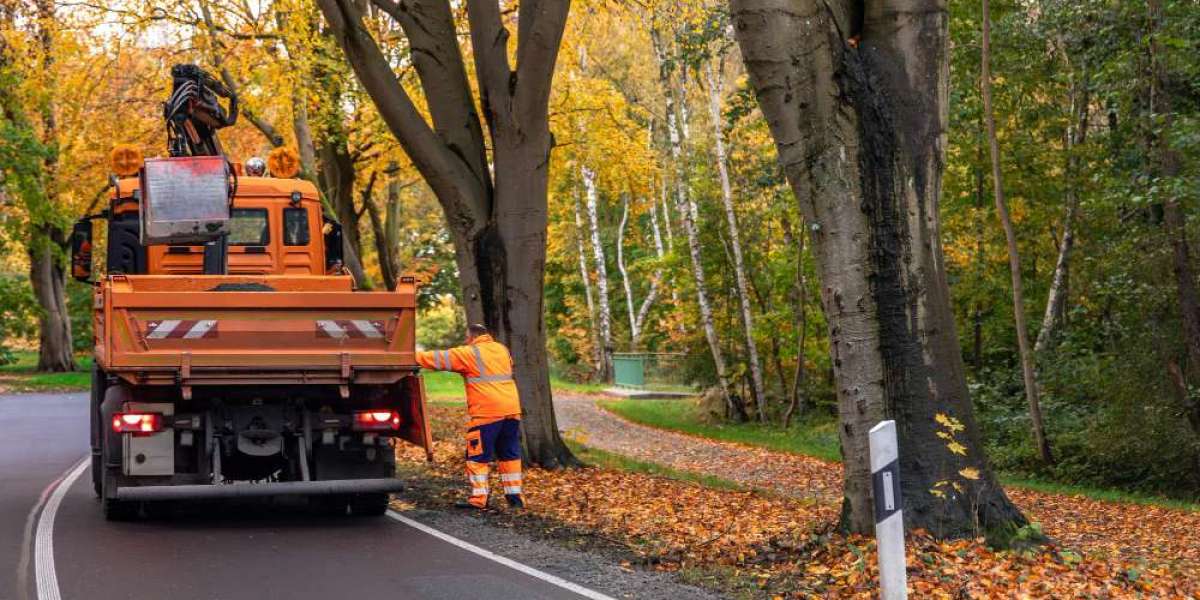 Smart Waste Management Made Easy in Farnham, Woking & Esher