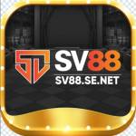 SV88 SE