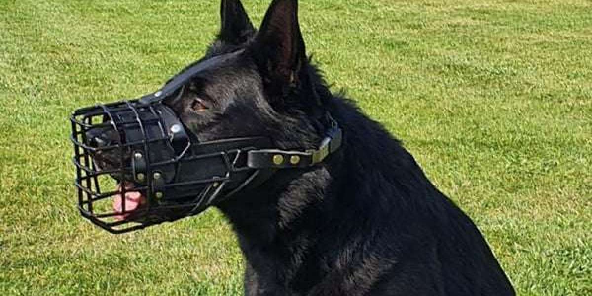The Science Behind Muzzle Design: How a Proper Fit Impacts Safety and Comfort