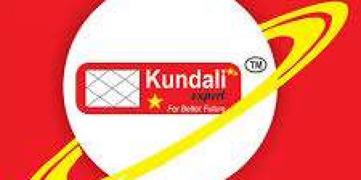 How Do You Find the Most Trusted Online Astrologer in Kolkata?