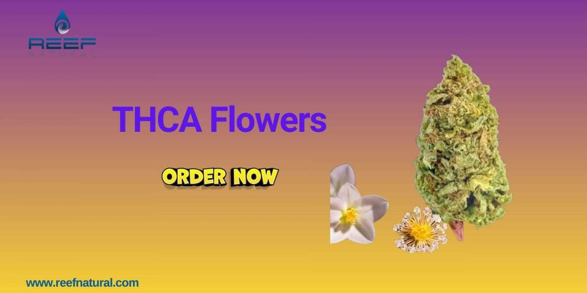 THCA Hemp Flower | Premium Legal Hemp Flower by Reefnatural