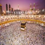 Salah Travels