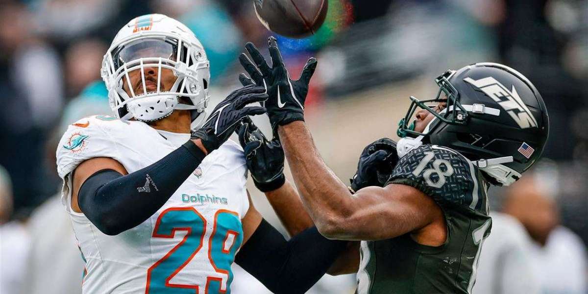 Absolutely free brokers oneself need to have for the Miami Dolphins!