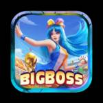 bigboss01 bigboss01