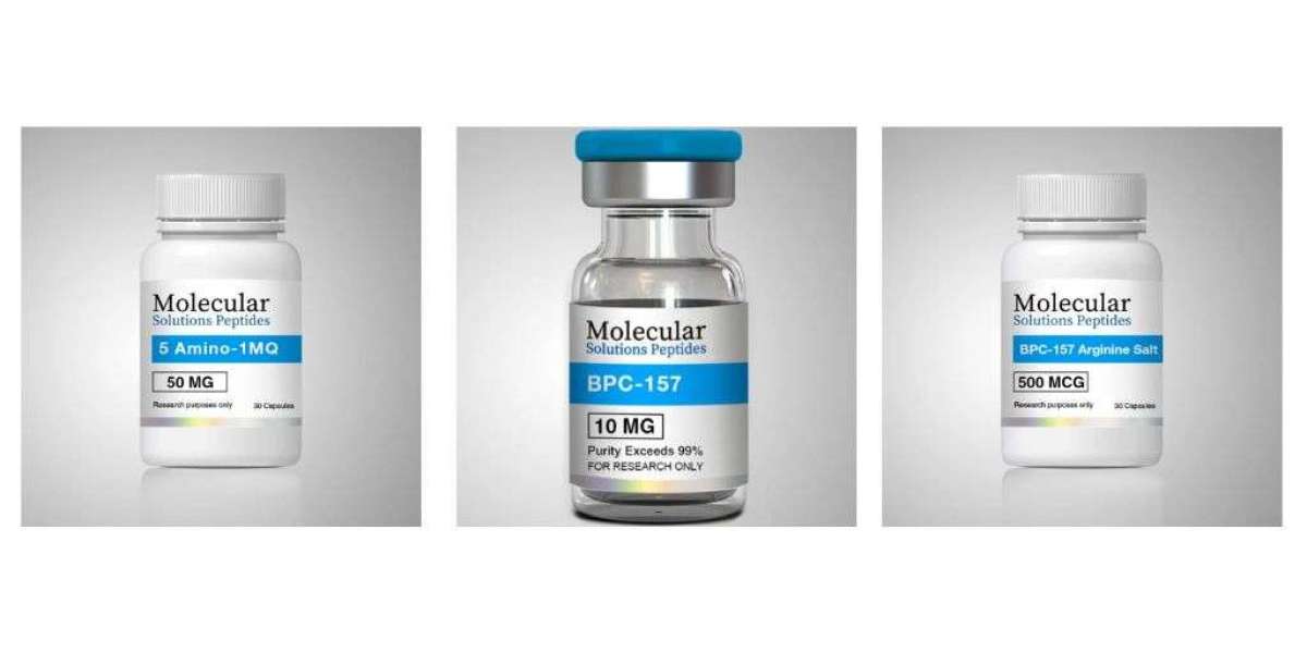 A Beginner’s Guide to Peptides for Research and Wellness