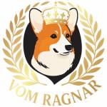 Vom Ragnar Corgi