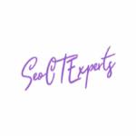 SEO CT Experts