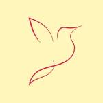 Parwaz profile picture