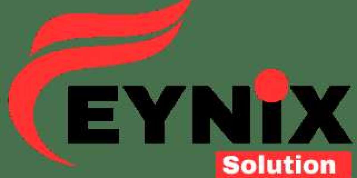 Feynix Solution: Empowering Businesses Through Digital Innovation