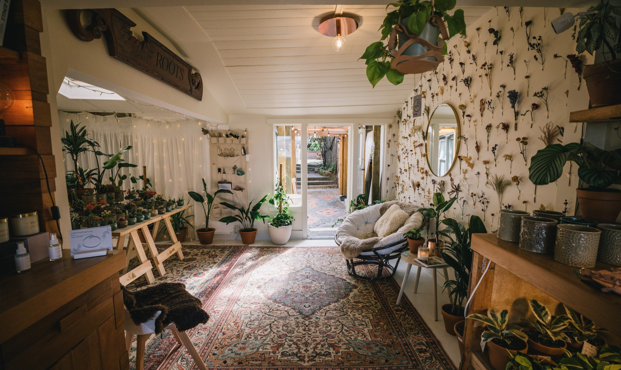 Indoor Plants | Node | Lyttelton