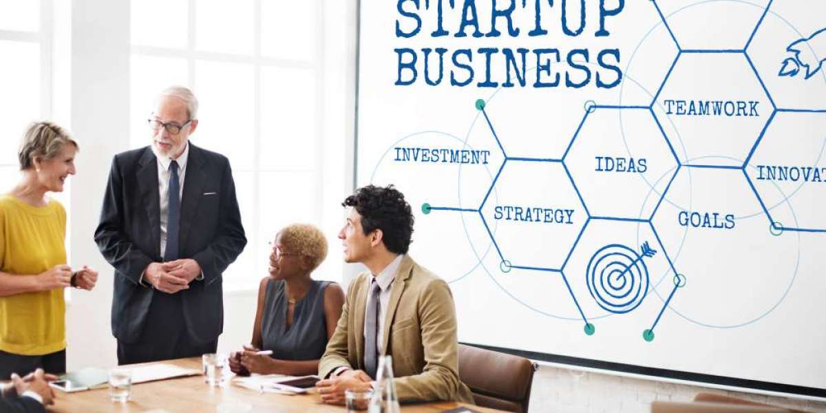 Empower Your Business: Startup Mentorship Program & Training