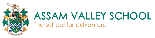 Best co-ed boarding schools in India | Assam Valley School