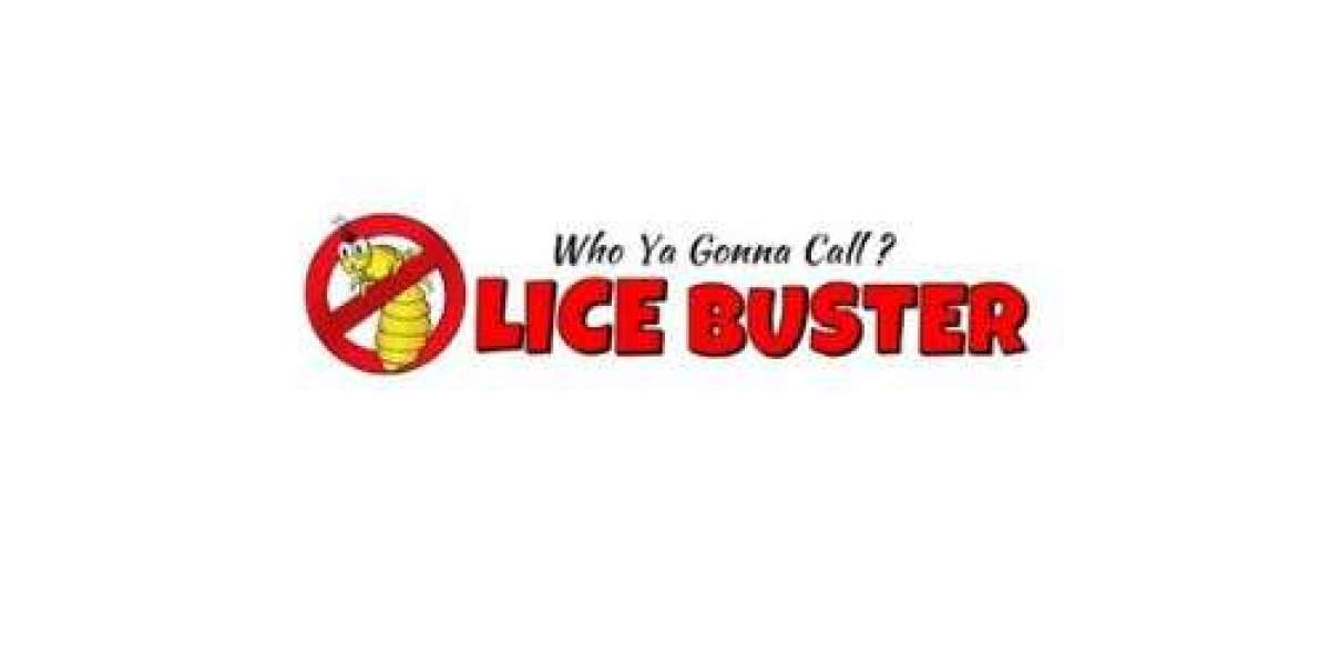 Head Lice in Schools: What Teachers and Administrators Should Know