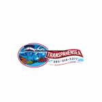 Transparensea Glass Bottom Tours Tours