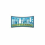 tidy turtlekc