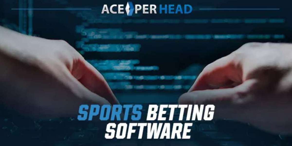 Start Your Bookmaker Business with Our Premier Pay Per Head Service