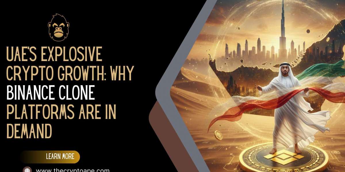UAE’s Explosive Crypto Growth: Why Binance Clone Platforms Are in Demand