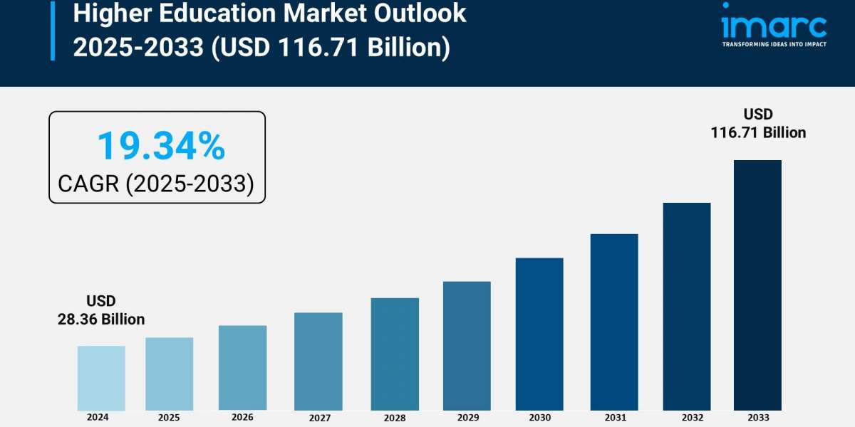 Higher Education Market Analysis, Trends & Growth Forecast 2025-2033