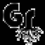 Groundz Shoes
