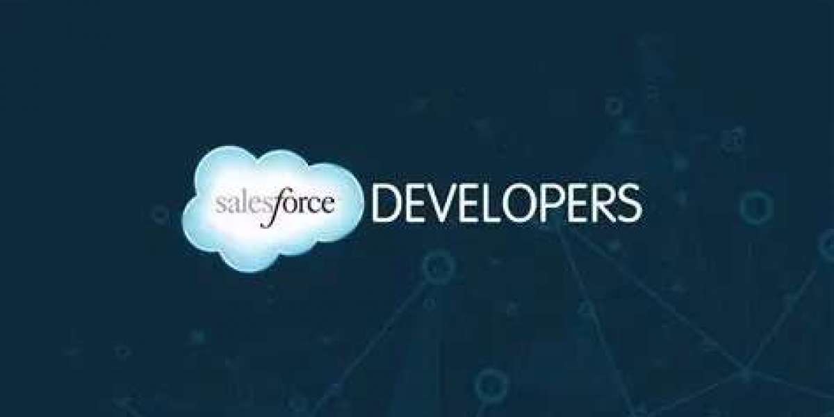 Looking for the Best Salesforce Development in Florida Here’s Who’s Dominating 2026