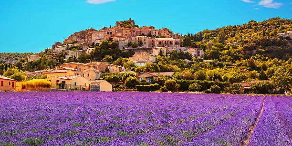Exploring Provence: Lavender Fields & Hilltop Villages