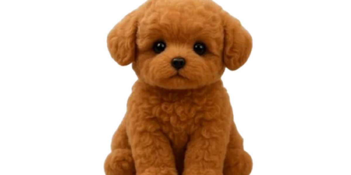Wuffy Review Are These Enhanced Dog Toys Worth It