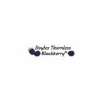 Doyle Blackberry Inc