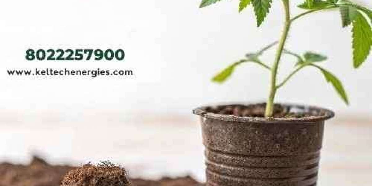 Choosing the Right Growing Medium for Plants at Home
