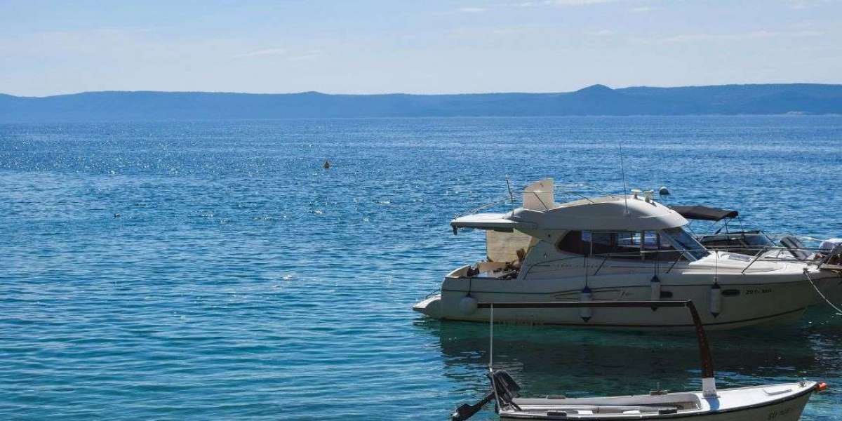 Best Islamorada Charters Perfect for Reef and Offshore Fishing