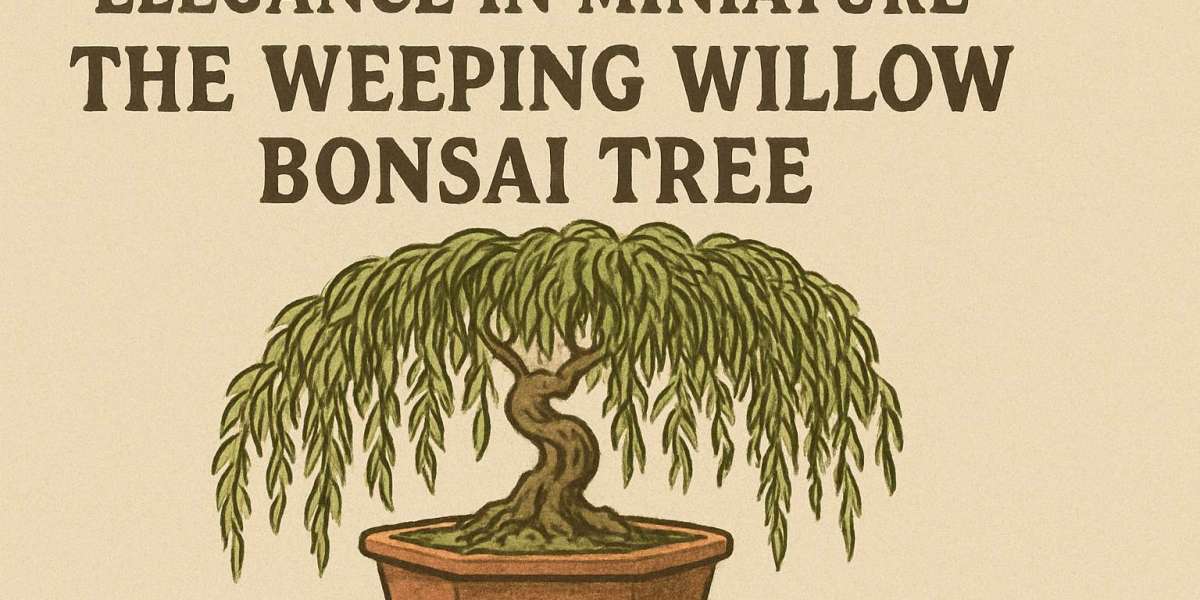 Elegance in Miniature: The Weeping Willow Bonsai Tree