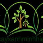 Cây Xanh Minh Hiếu