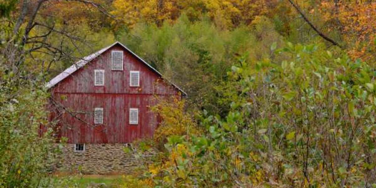 How Barn Retreats in Anna-Jonesboro Support Stress-Free Getaways