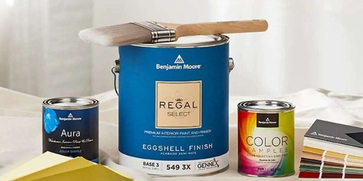 Top 10 Best Paint Brands for Long Lasting, Smooth & Durable Finishes