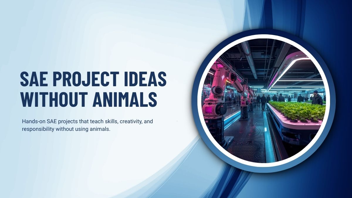 85+ SAE Project Ideas Without Animals for Young Learners!