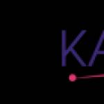 Mena Kart