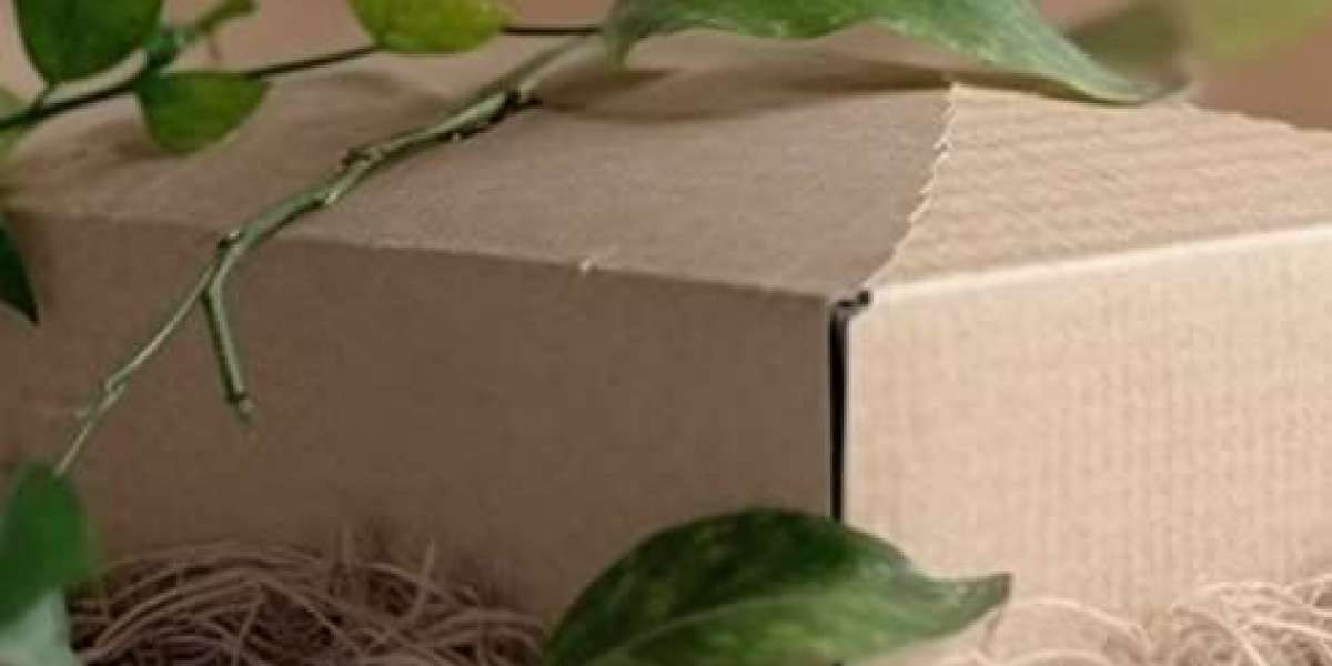 Sustainable Shipping Boxes: Eco-Friendly Packaging for a Greener Future