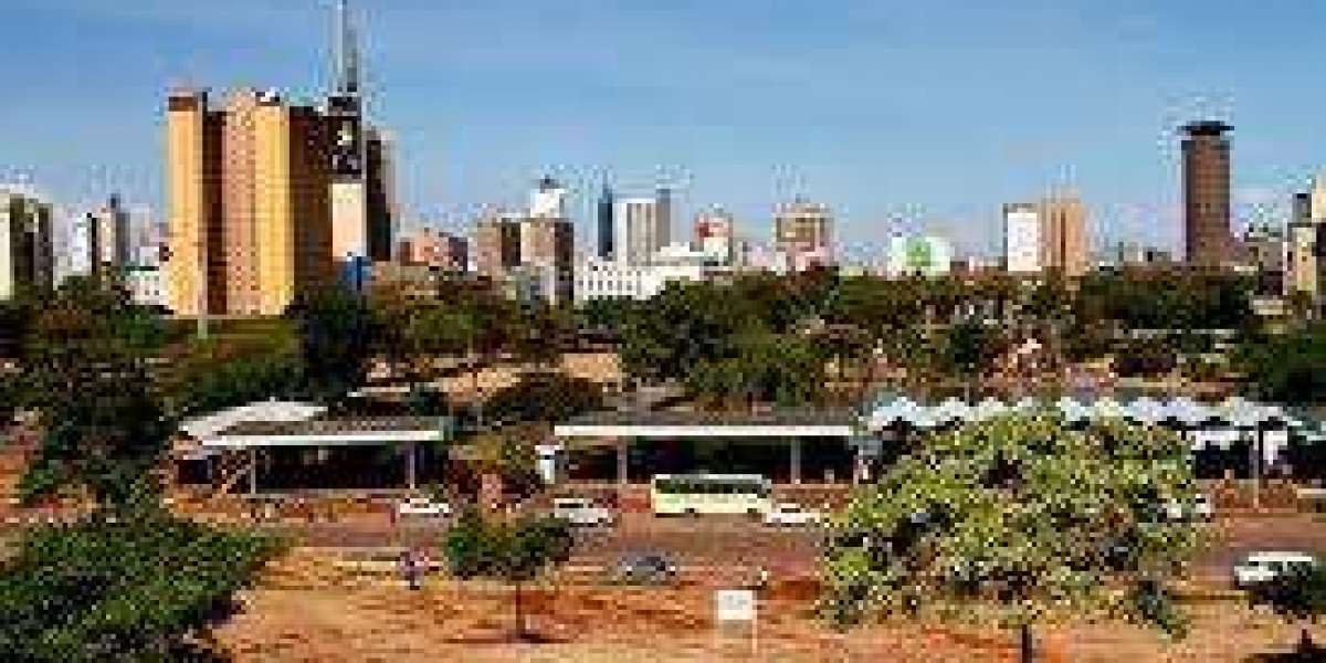 Book Kenya luxury safari packages to enjoy the best of African wildlife experience